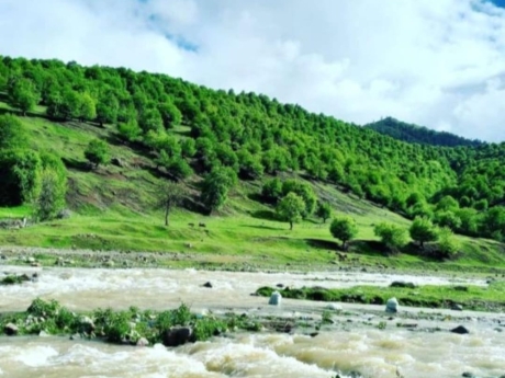 gedebeyde kiraye evler