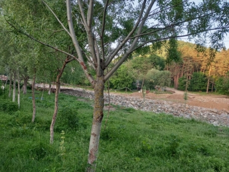 gedebeyde kiraye evler
