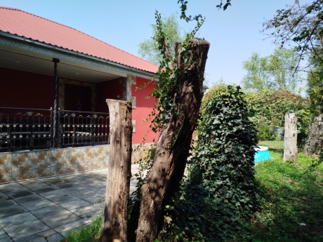 lenkeranda gunluk kiraye evler