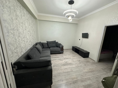 elmlerde gunluk ev