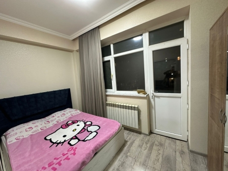 elmlerde gunluk ev