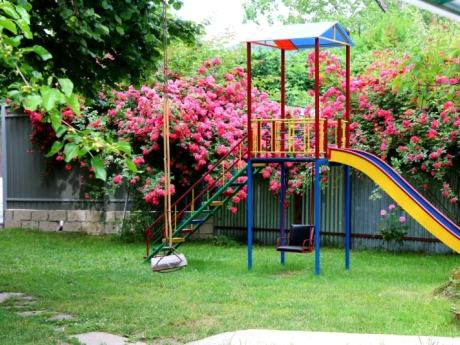 gunluk kiraye evler 2025