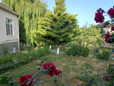 gunluk kiraye evler 2025