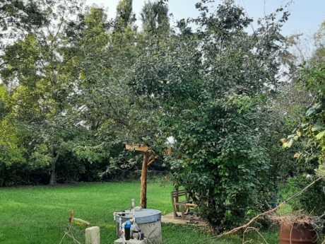 gunluk kiraye evler 2025