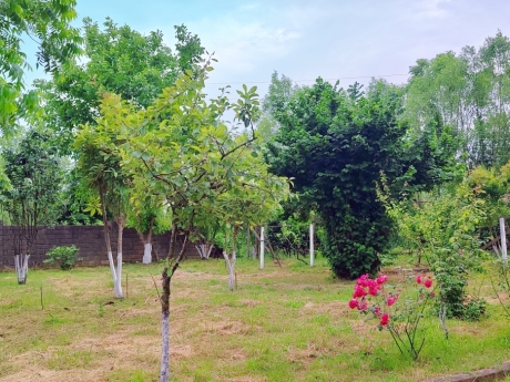 gunluk kiraye evler 2025