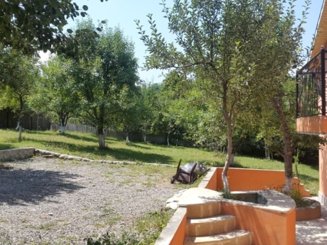 gunluk kiraye evler 2025