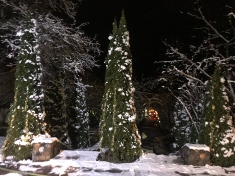 gunluk kiraye evler 2025