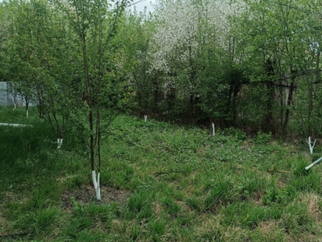 gunluk kiraye evler 2025