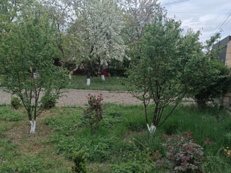 gunluk kiraye evler 2025