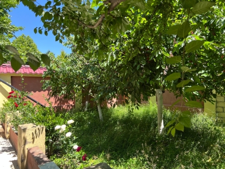 gunluk kiraye evler 2025