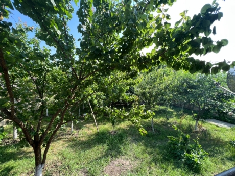 gunluk kiraye evler 2025