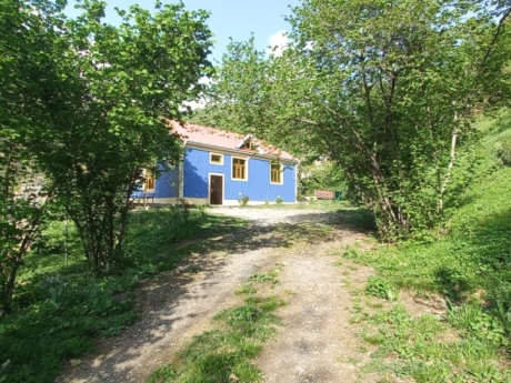 gunluk kiraye evler 2025