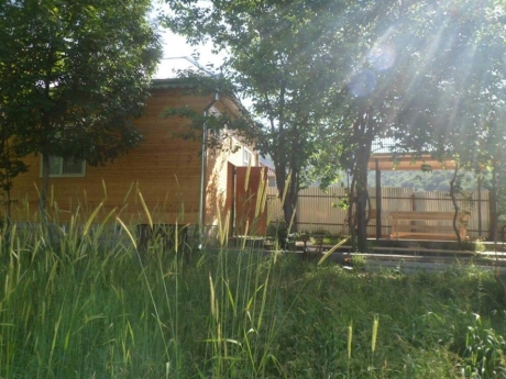 gunluk kiraye evler 2025