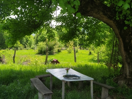 gunluk kiraye evler 2025