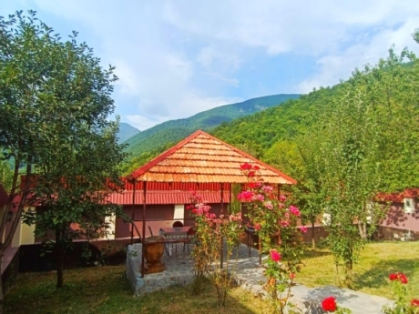 gunluk kiraye evler 2025