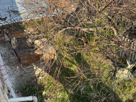 gunluk kiraye evler 2025