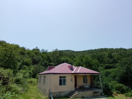 gunluk kiraye evler 2025