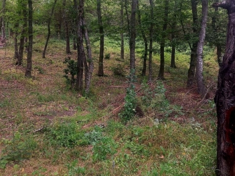 gunluk kiraye evler 2025