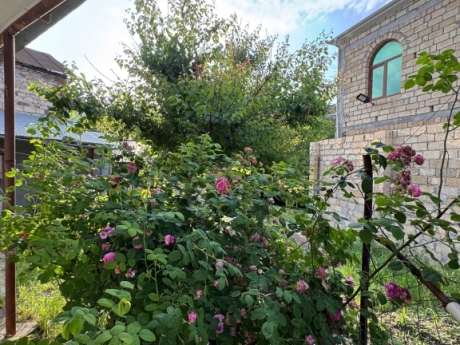 gunluk kiraye evler 2025