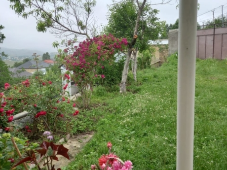 gunluk kiraye evler 2025