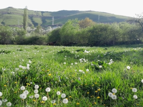 gunluk kiraye evler 2025