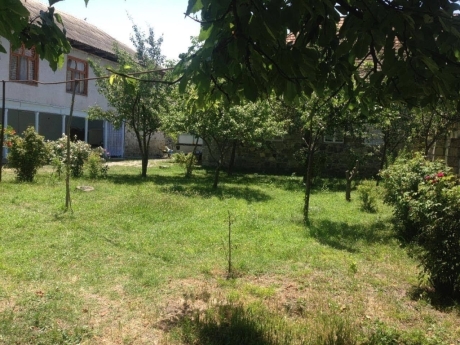 gunluk kiraye evler 2025