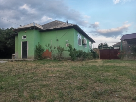 gunluk kiraye evler 2025