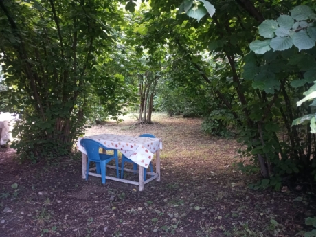 gunluk kiraye evler 2025