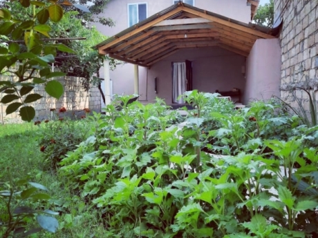 gunluk kiraye evler 2025