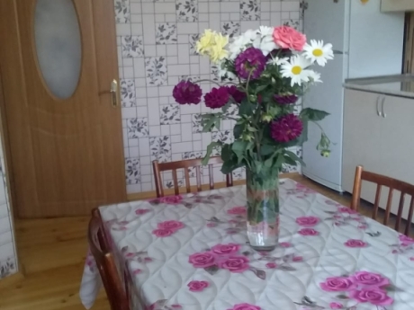 gunluk kiraye evler 2025