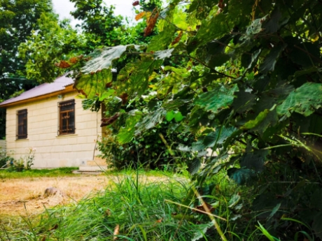 gunluk kiraye evler 2025