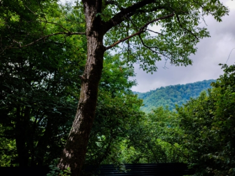 gunluk kiraye evler 2025