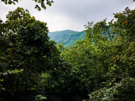 gunluk kiraye evler 2025