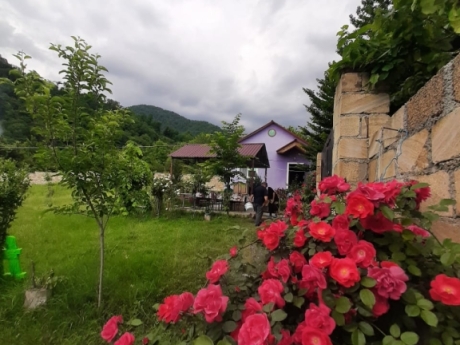 gunluk kiraye evler 2025