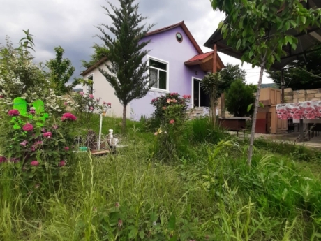 gunluk kiraye evler 2025