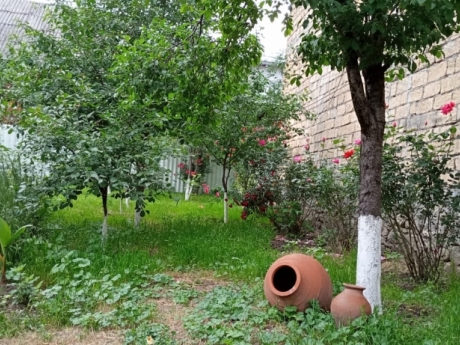 gunluk kiraye evler 2025