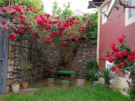 gunluk kiraye evler 2025