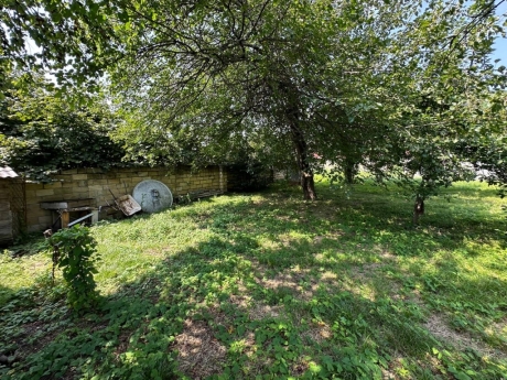 gunluk kiraye evler 2025