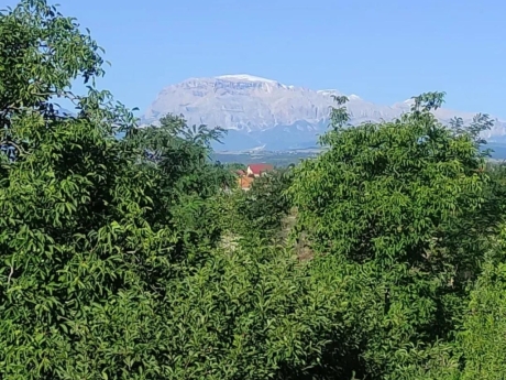 gunluk kiraye evler 2025