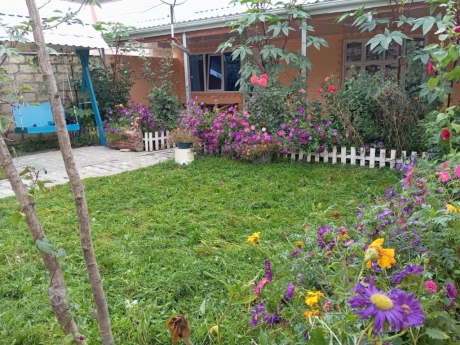 gunluk kiraye evler 2025