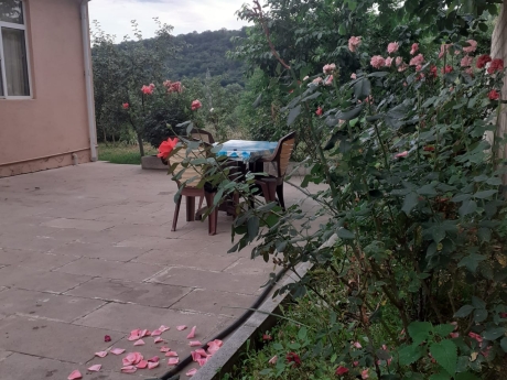 gunluk kiraye evler 2025