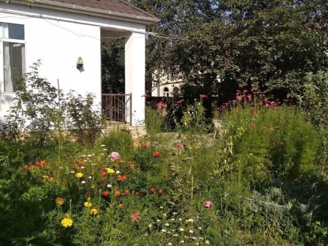 gunluk kiraye evler 2025