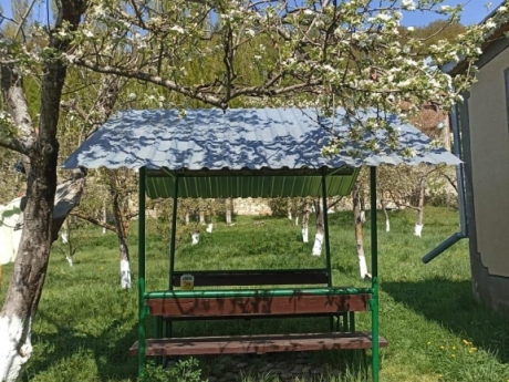 gunluk kiraye evler 2025