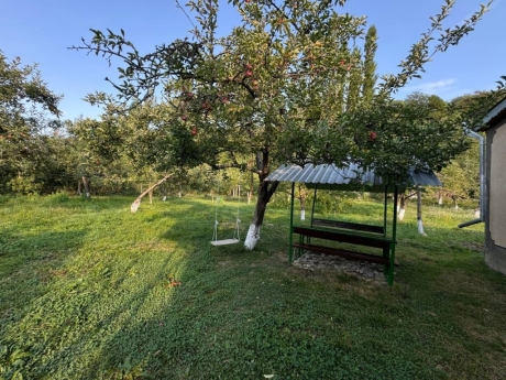 gunluk kiraye evler 2025