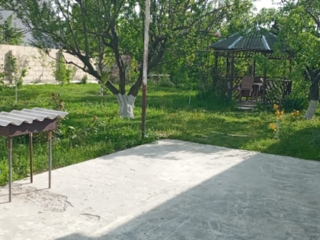 gunluk kiraye evler 2025