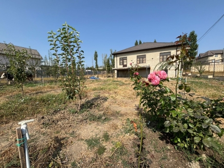 gunluk kiraye evler 2025