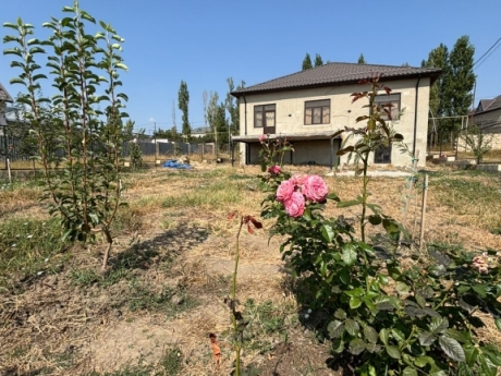 gunluk kiraye evler 2025