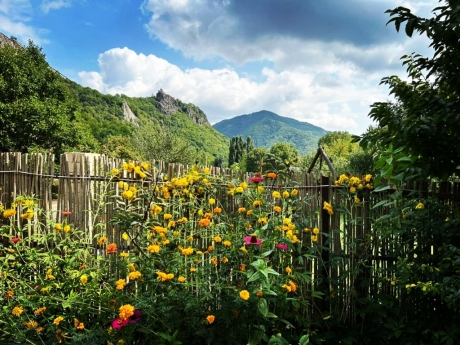 gundelik ev kirayesi