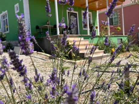 gundelik ev kirayesi