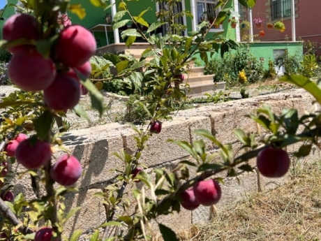 gundelik ev kirayesi